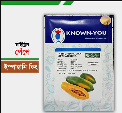 হাইব্রিড ইস্পাহানি কিং পেঁপে Ispahani King Papaya