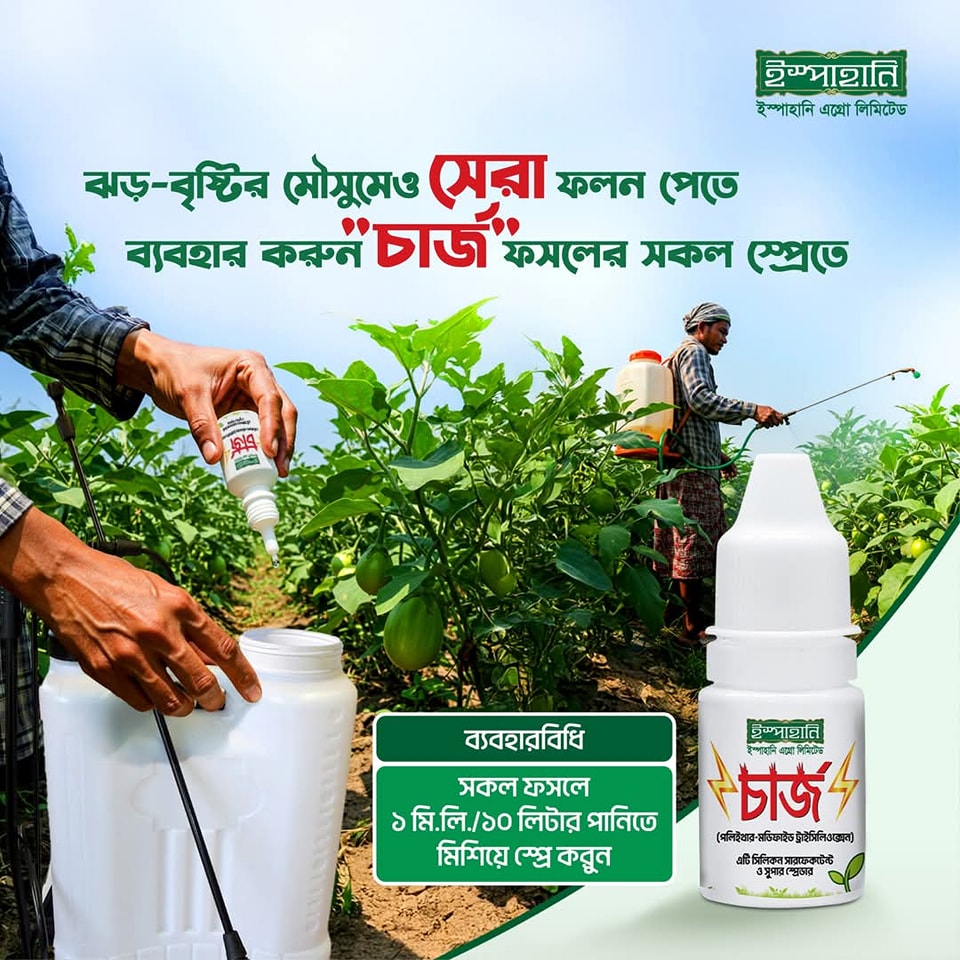 চার্জ (Charge)