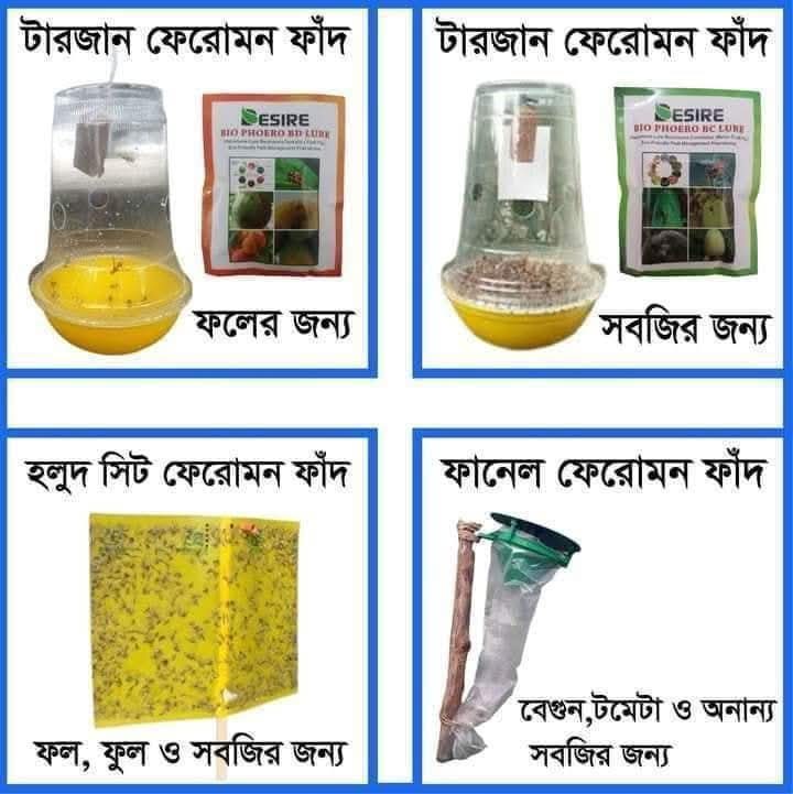 টারজান ফেরোমন ফাঁদ