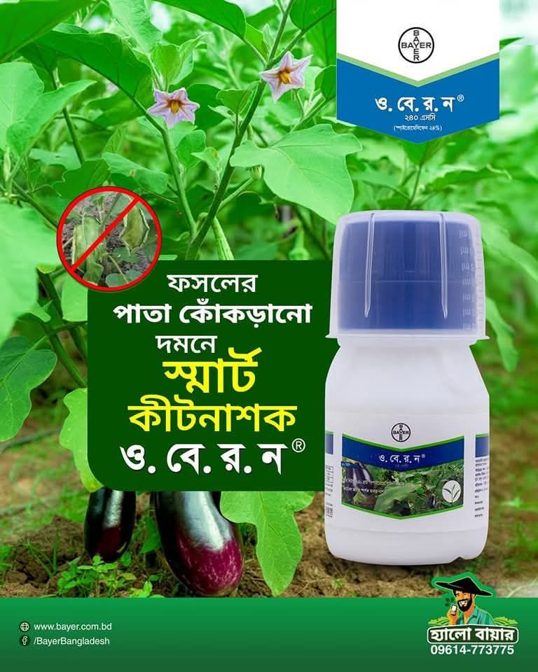 ওবেরন মাকড়নাশক বায়ার Oberon Miticide Bayer (৫০ মিলি)